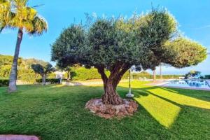 Vonkajšia záhrada v ubytovaní Apartment Sol Vinaròs con AA Wi-Fi a primera línea y vistas al mar.