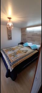 um quarto com uma cama num quarto com uma luz em CABAÑAS LOMAS DE YECO em Valdivia