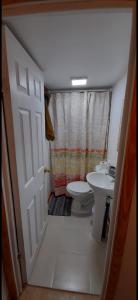 a bathroom with a toilet and a sink at CABAÑAS LOMAS DE YECO in Valdivia