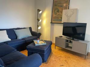 een woonkamer met een blauwe bank en een tv bij Pacino Jaca in Jaca