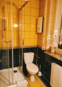 uma casa de banho com um WC e um chuveiro em Usługi Noclegowe i Gastronomiczne dla Ludności Robert Mielcarek em Kobyla Góra