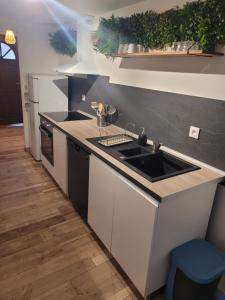 cocina con fregadero y encimera en Effet Mer, 4 etoiles, gîte de 80m2 en Dorlisheim