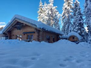 Ferienhaus - Chalet - Lechtraum during the winter
