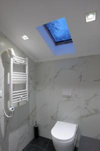 a bathroom with a toilet and a skylight at Vila Muslli in Korçë