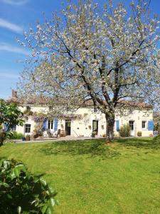 een magnolia boom voor een wit huis bij Papillons B&B - beauty, comfort and peace 25 mins from Puy du Fou in Montournais