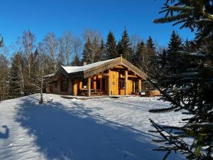 une cabane en rondins dans les bois dans la neige dans l'établissement Dabintos slėnis, à Semeliškės