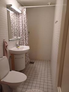 a bathroom with a toilet and a sink and a shower at Kiruna accommodation Gustaf Wikmansgatan 6b villa 8 pers in Kiruna