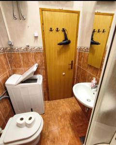 uma casa de banho com um WC, um lavatório e uma porta em Jakov one bedroom apartment Sucuraj em Sućuraj