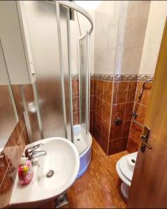 uma casa de banho com um lavatório e um WC em Jakov one bedroom apartment Sucuraj em Sućuraj
