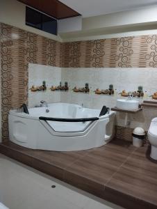 Foto dalla galleria di Hotel Amazon deluxe a Jaén
