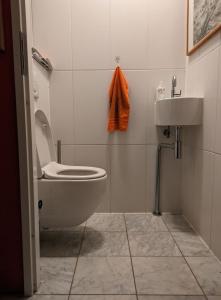 a bathroom with a toilet and a sink at Almere Centre half an hour train to Amsterdam in Almere