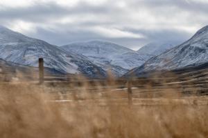 Gallery image of Kornmúli in Búðardalur +36 photos