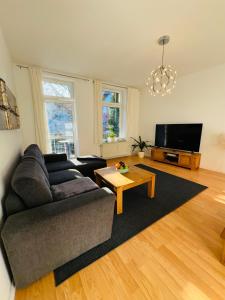 ein Wohnzimmer mit einem Sofa und einem TV in der Unterkunft Attraktive Wohnung im schönen Hinterhof in Schwerin