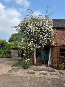 a flowering tree in front of a house at Highfields Farm B&B in Stone