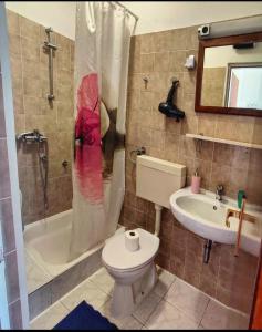 Koupelna v ubytování Manora Sucuraj 2 bedroom apartment + 51 fotografií