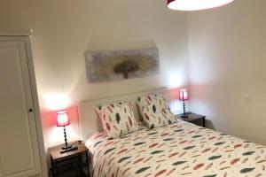 ein Schlafzimmer mit einem Bett mit zwei Lampen an Tischen in der Unterkunft Charmant appartement centre ville avec cour in Chalon-sur-Saône