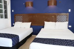 Hotel Tropical 객실 침대