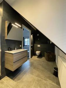 a bathroom with a sink and a toilet at B en B Stipdonk in Lierop +104 photos