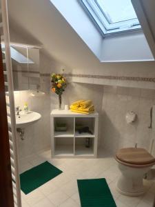 a bathroom with a toilet and a sink and a skylight at Pension Eva in Domažlice