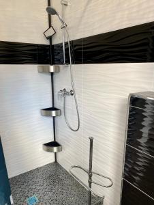 a shower in a bathroom with a shower head at Gästehaus Don Camillo in Ensdorf