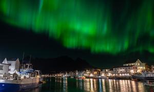 an aurora over a harbor with boats in the water at Henningsvær Rorbuer in Henningsvær