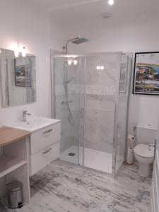 Saint-Yorre的住宿－Cosy Saint Yorre，带淋浴、盥洗盆和卫生间的浴室