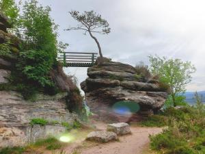 a bench sitting on top of a rock formation at Nature & bien-être - À l'étage avec 2 chambres in Étival-Clairefontaine
