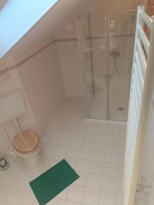 a bathroom with a shower and a toilet with a green rug at Pension Eva in Domažlice