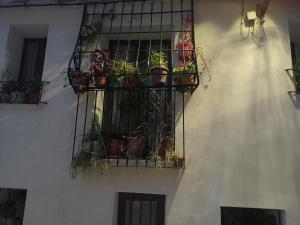 a balcony with potted plants on the side of a building at Piso junto al mar de 80m² in Villajoyosa