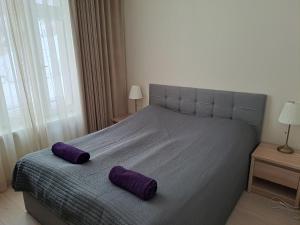 a bedroom with a bed with purple pillows on it at Aleksi Apartments in Tartu