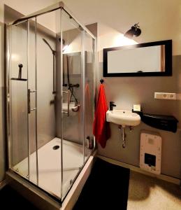 a bathroom with a shower and a sink at Ferienwohnung Gransee unmittelbar am Stechlinsee - Radweg 
