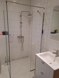 a shower with a glass door next to a sink at Dorpat Apartment in Tartu