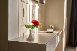 Cucina o angolo cottura di Pyramids Charm Hotel