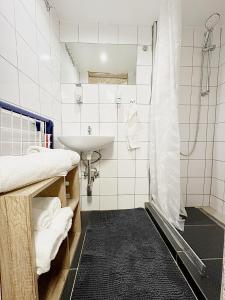ein Bad mit einem Waschbecken und einer Dusche in der Unterkunft ST Apartment in Wien