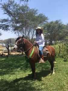 Pacora的住宿－Rancho Santana Horseback Riding，坐在田野里马的女人