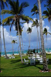 a group of tables and palm trees on the beach at Stylish room by the beach in Las Galeras