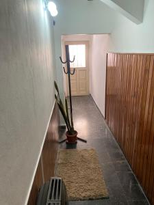 un pasillo con una maceta delante de una puerta en Departamento Zuni, en San Pedro