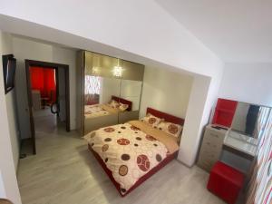 una camera con un letto e un grande specchio di Apartament SUN a Drăgăşani
