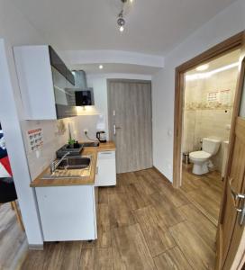 a kitchen with a sink and a toilet at Pokoje i apartamenty Wierchy Zakopane in Zakopane