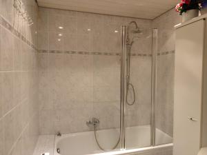 a bathroom with a shower and a bath tub at Komfortable Ferienwohnung in Flörsheim-Weilbach in Flörsheim
