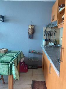 Condominio Bahia Pelicanos - Horcon في بوتشونكافي: مطبخ بحائط ازرق مع بومه على الحائط