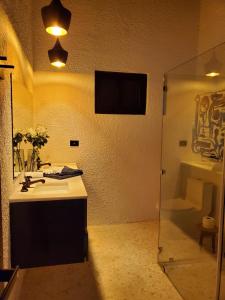 CASA ROMA Hotel Boutique في El Tamarindo: حمام مع حوض ومرآة