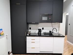 A kitchen or kitchenette at Kopernik Premium Rooms Apartment