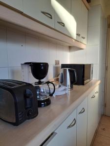 a kitchen with a counter with a toaster and a microwave at House Patagonia II in Coihaique