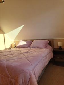 a bedroom with a bed with purple sheets and pillows at House Patagonia II in Coihaique