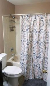 a bathroom with a toilet and a shower curtain at Harmony Bed and Breakfast Private Queen GardenviewRoom in Lutz