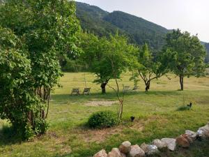 Príroda v okolí chaty v prírode