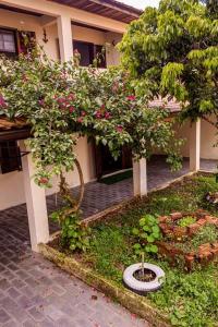 ein Haus mit zwei Bäumen mit rosa Blüten darauf in der Unterkunft Casa Pedra & Mar - Paraiso na Praia de Caieiras in Guaratuba