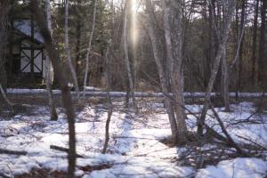 a snow covered forest with the sun shining through the trees at Hoshi no Machi No, 177 - Vacation STAY 39992v in Tsumagoi