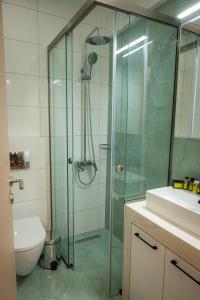 bagno con doccia in vetro, servizi igienici e lavandino di White Luxury Apartments a Kateríni